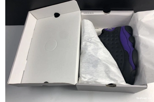 Air Jordan Retro DJ5982-015 Court Purple DJ5982-015 13  0630